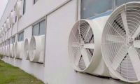 Nguyên tắc lựa chọn quạt công nghiệp
