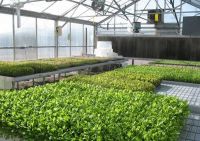 Những điều cần biết về hệ thống làm mát nhà kính