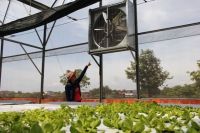 5 Ưu điểm của quạt thông gió nhà kính